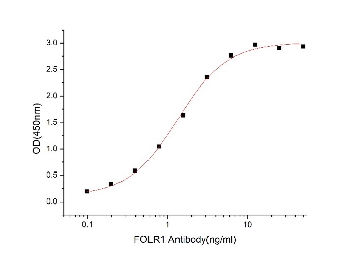 GX00192 Human FOLR1 At