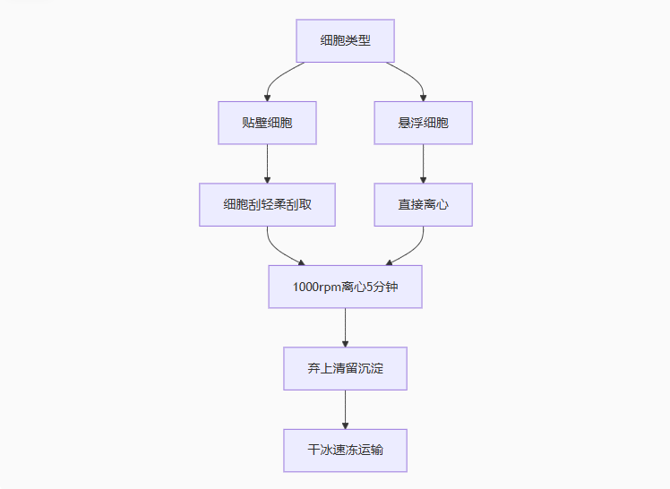 bfa935a7-e7c5-4480-b146-5d0dc321cb22