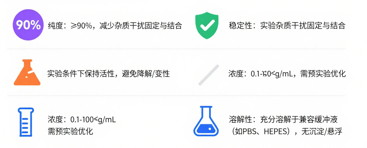 图片11
