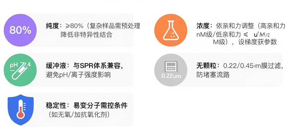图片12