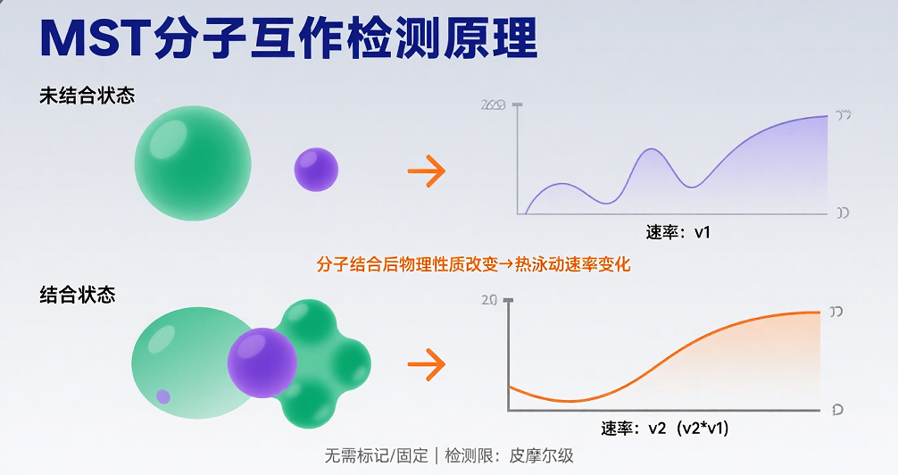 图片20