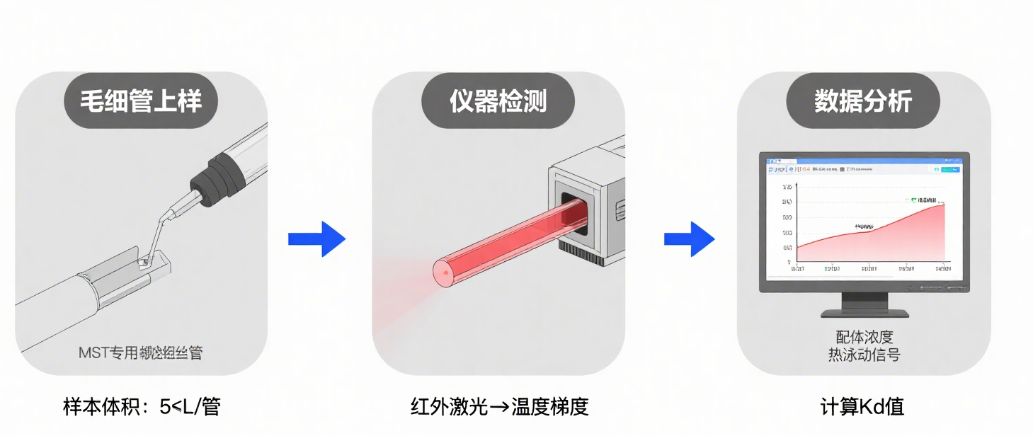 图片22