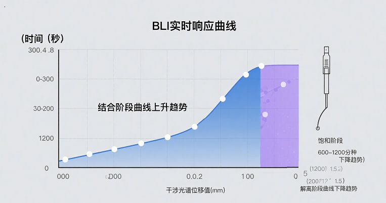 图片28