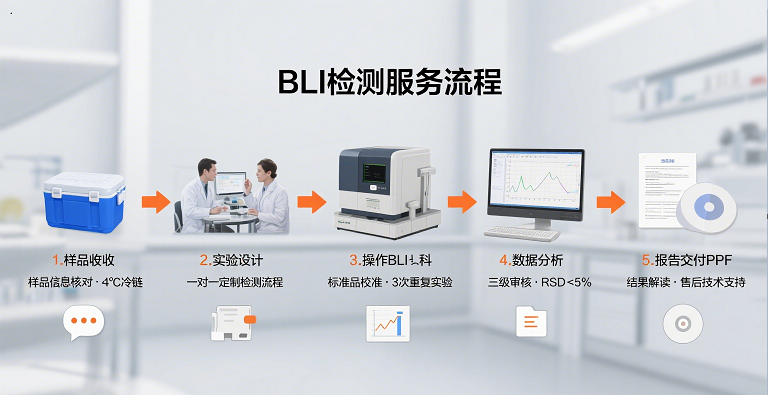 图片35