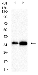 11384692218d106b9f393bf300a7977b_54aeb439fd689925ffa07ca53d8a908f